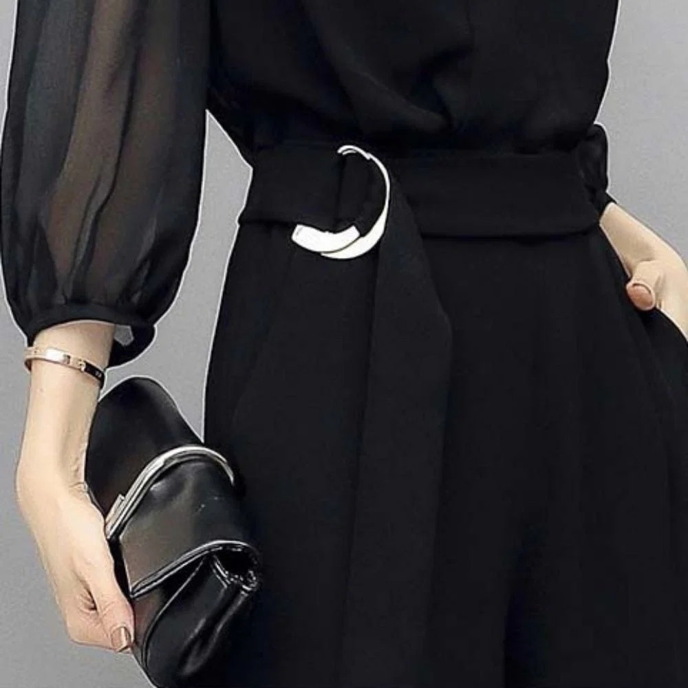 骨格ウェーブ シアー袖×Vネック ハイウエストオールインワン